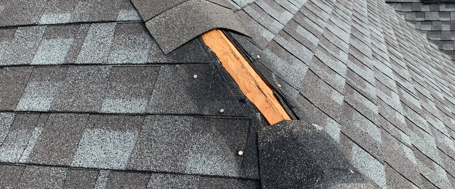 All You Need to Know About Missing Shingles