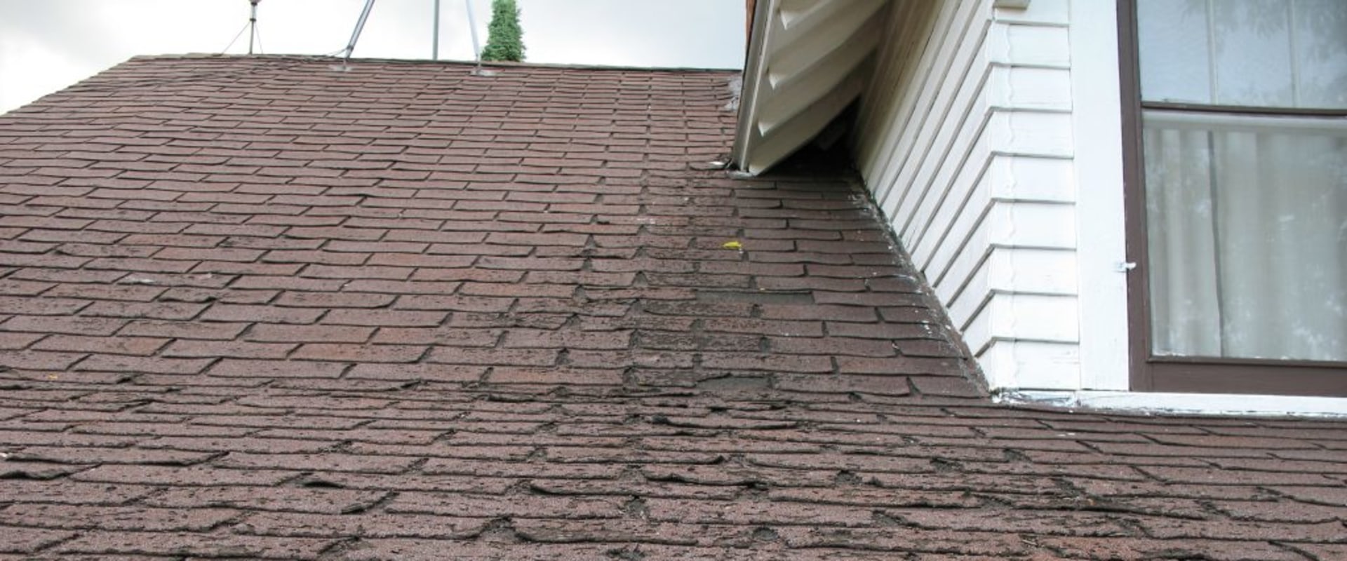 Replacing Shingles: Everything You Need to Know