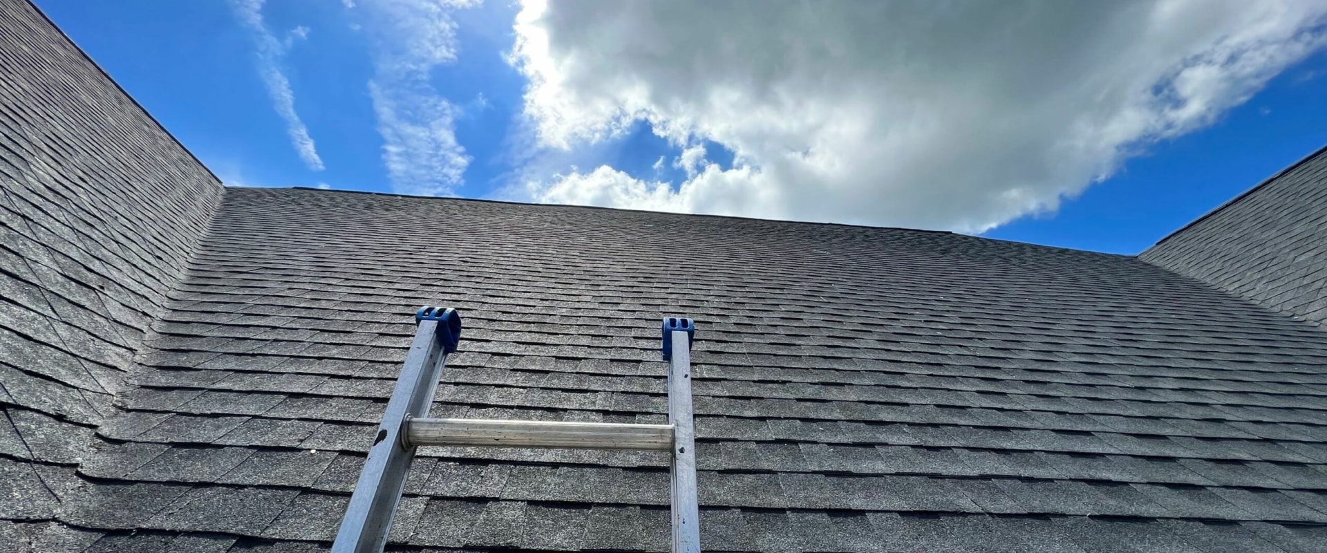 Everything You Need to Know About Asphalt Shingles: Choosing the Right Roofing Material for Your Home or Business